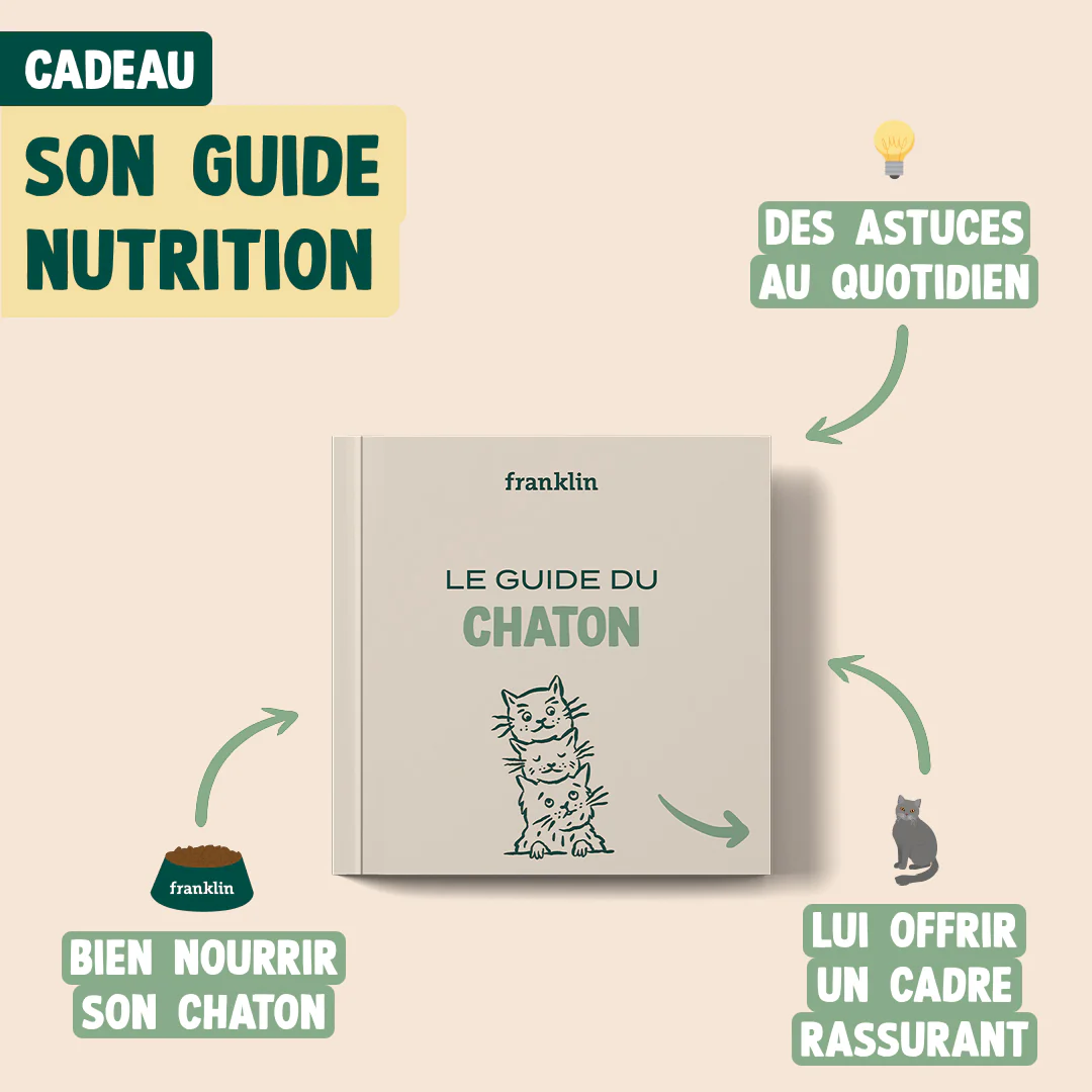 Image du produit 7