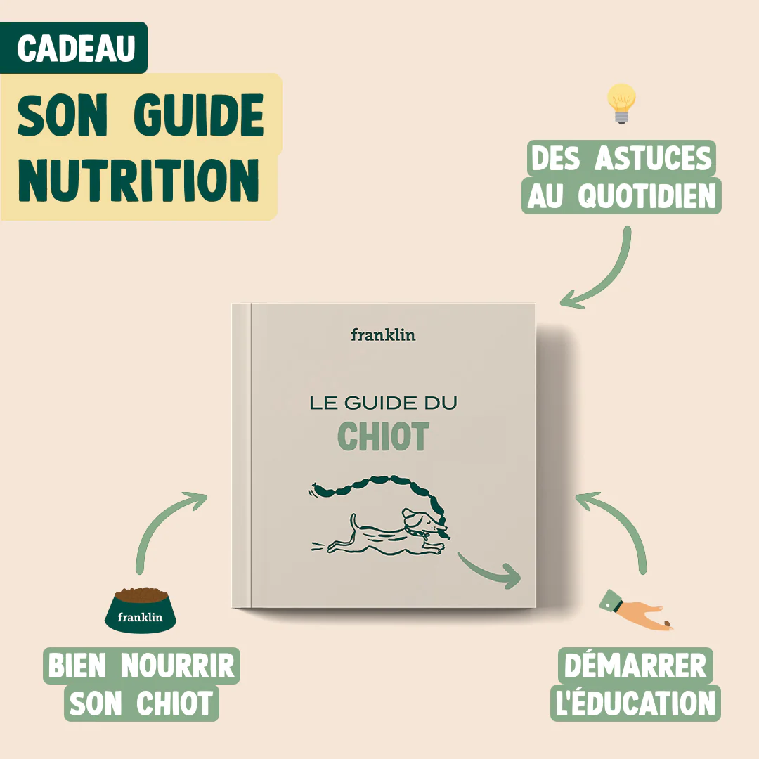 Image du produit 7